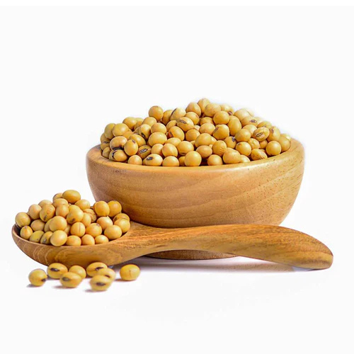 Soyabean Seeds