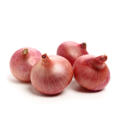 Onion